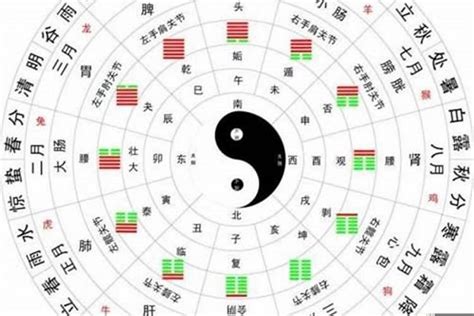 五行 算命|生辰八字算命、五行喜用神查询（免费测算）